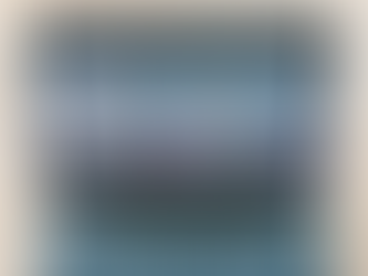 What are the Pros and Cons of using Canva for your business marketing instead of using a professional graphic designer or marketing firm?