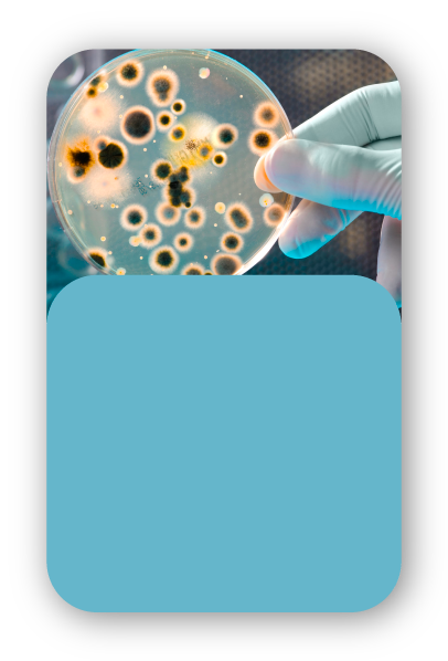 medlearning-usp-clinica-medica-4.png