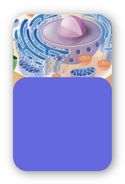 medlearning-usp-clinica-medica-4.png
