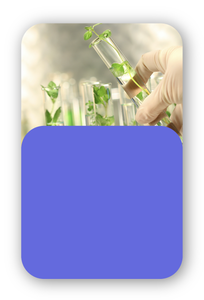 medlearning-usp-clinica-medica-4.png