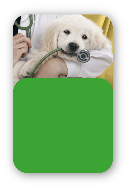 medlearning-usp-clinica-medica-4.png