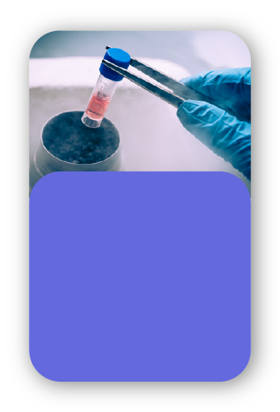 medlearning-usp-clinica-medica-4.png