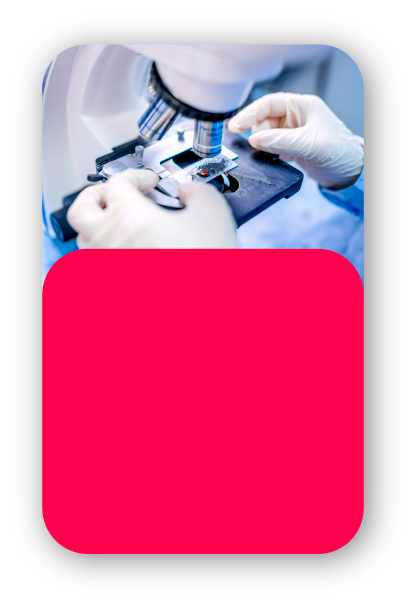 medlearning-usp-clinica-medica-4.png
