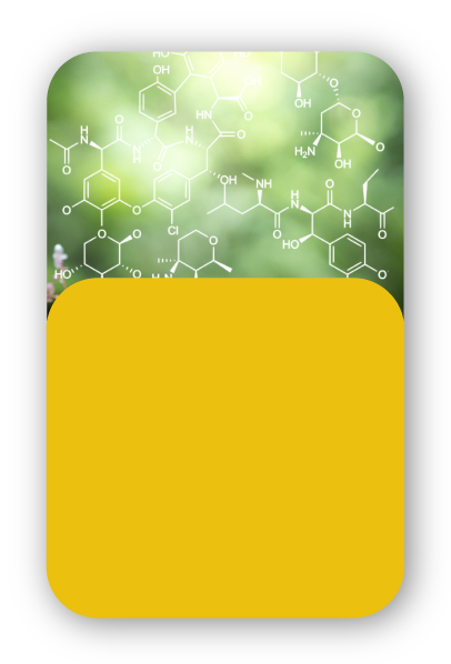medlearning-usp-clinica-medica-4.png