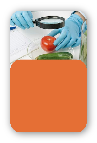 medlearning-usp-clinica-medica-4.png