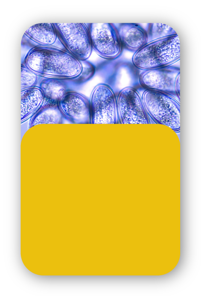 medlearning-usp-clinica-medica-4.png