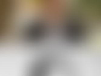 Mauricio Gómez Amín, vocero del Partido Liberal