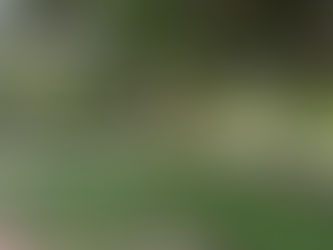 Villa Carolina reverdece con 6.000 m² de paisajismo: el parque Espejo renace como pulmón verde de Barranquilla