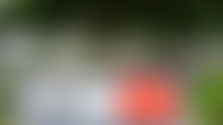 Gobernador Verano le cumplió a Soledad y entregó Polideportivo que beneficia a 50.000 habitantes