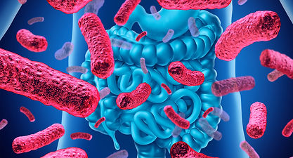 post_probiotics_gut_microbiota-2.jpg