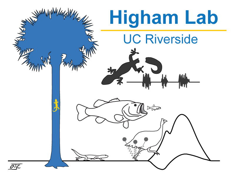 Higham Lab logo.gif