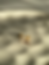 Thumbnail: Diamond Bar Studs
