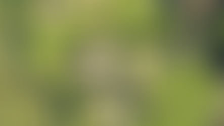 CASAS DO OUTRO MUNDO