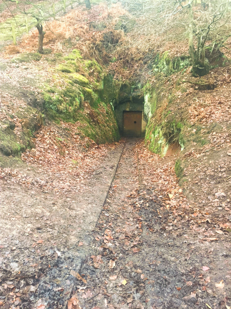 Alderley Edge Myth, Magic and Adventure.