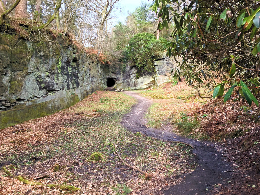 Alderley Edge Myth, Magic and Adventure.