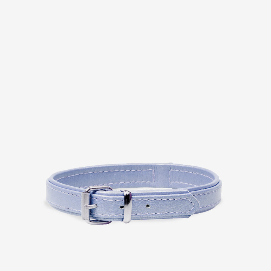 Light blue leather dog collar with silver buckle
