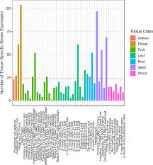 Cacao Genetics Breakdown