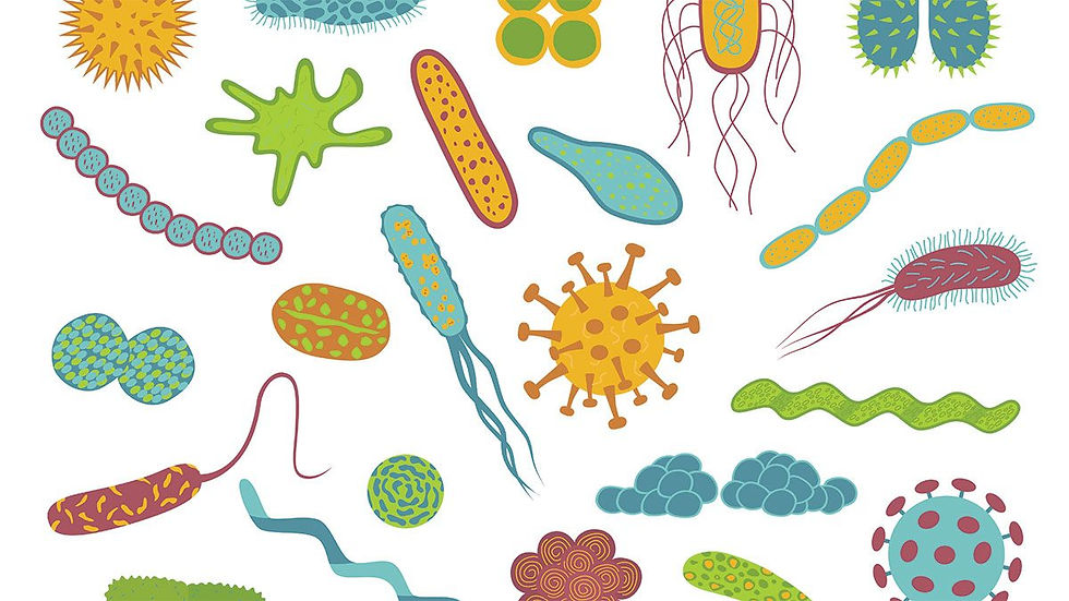 Prebiotic Organisms