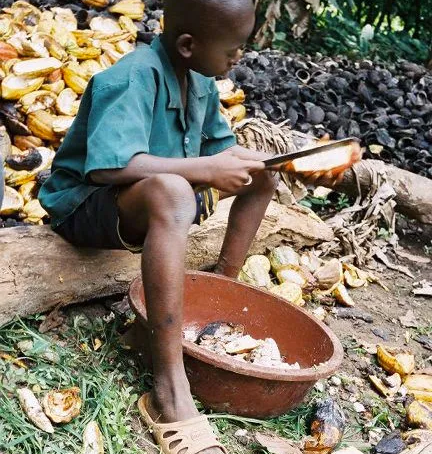 Is “Modern Slavery” in Cacao Different from "Historical Slavery" and Slave-Free Cocoa?