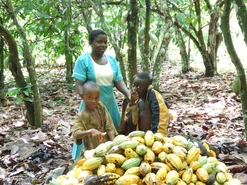 cocoa slave, slave-free, child-slave free cocoa, slave-free cocoa, slave-free chocolate