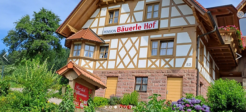 Bild_Bäuerlehof.png
