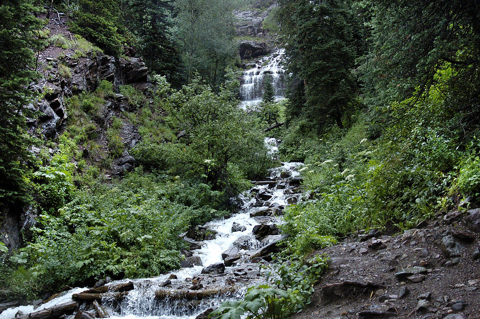 Rugged waterfalls with forests filled with the colors of Emeralds