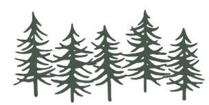 Evergreen trees graphic