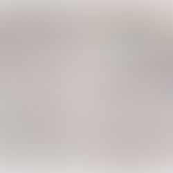 返家鄉路崎嶇 新舊股王兩極 - 2025 - 02 - 06