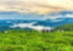 Da_Lat_landscape.jpg