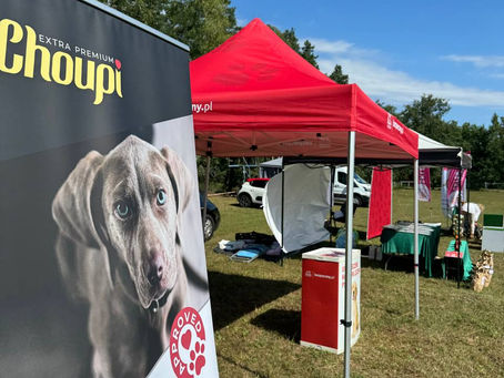 Choupi: International Experience, Partnerships, and Development Across Europe and Ukraine