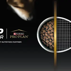 PURINA PRO PLAN AND ATP TOUR ENTER LONG-TERM PARTNERSHIP TO PROMOTE HIGH-QUALITY PET NUTRITION ACROSS THE TENNIS COMMUNITY