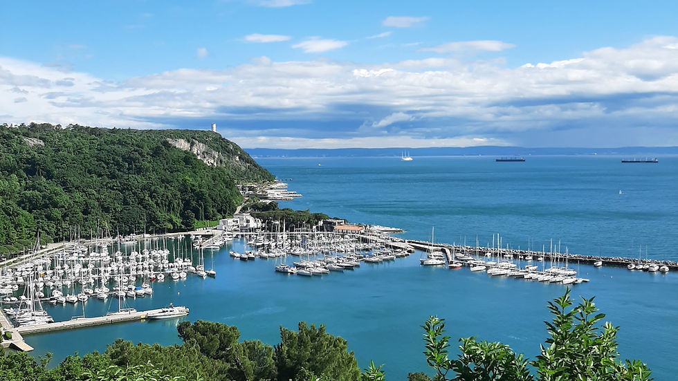 Visita la baia di Sistiana