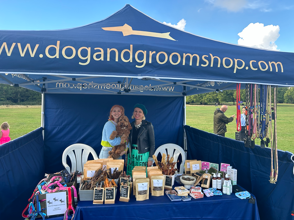 dog and groom, Wandsworth and Fulham dog show