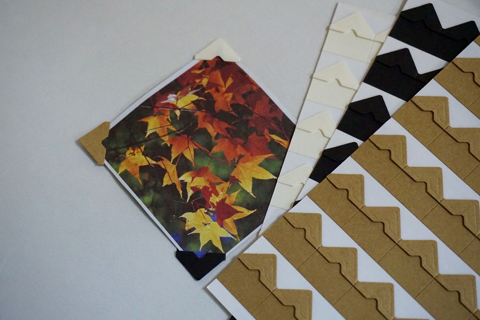 Photo corner 42pcs
