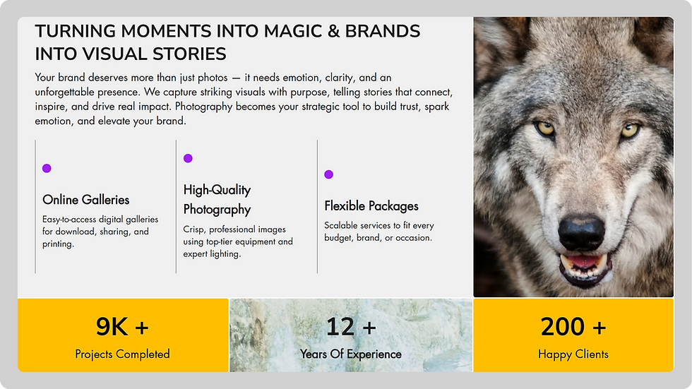 Creative Portfolio Template, wix studio template, About page