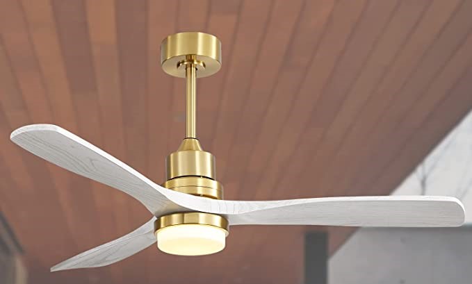 ceiling fan with light