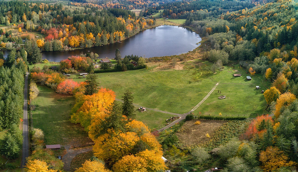 Autumn Eagle eye view
