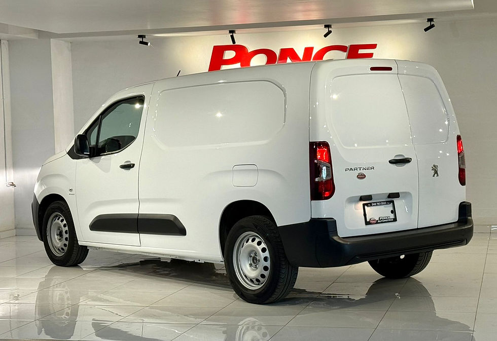 Miniatura: PARTNER MAXI 2022 