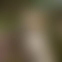 Biike ist offiziell ausgewertet