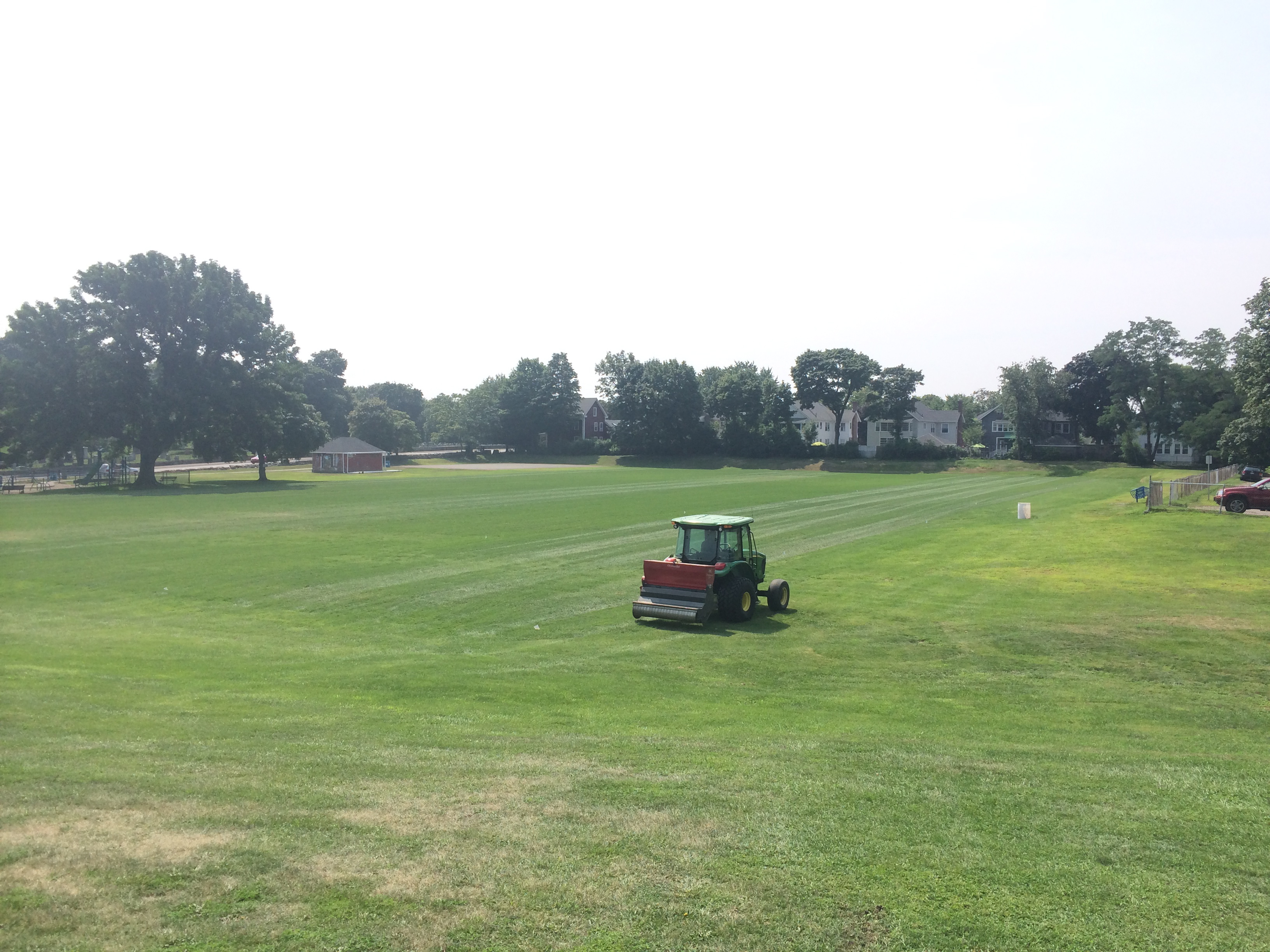 Athletic Field Turfgrass Establishment Sports Turf Specialties, Inc.
