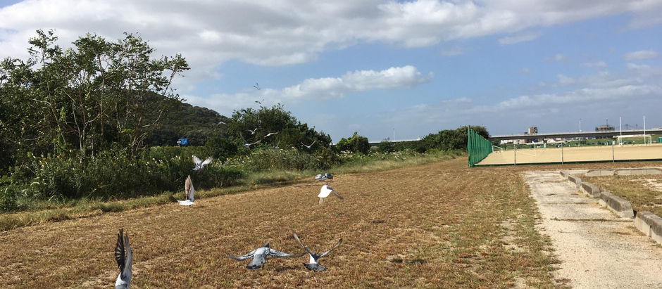 200kレース前訓練