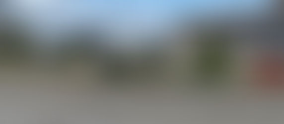 残した植木を剪定しました。