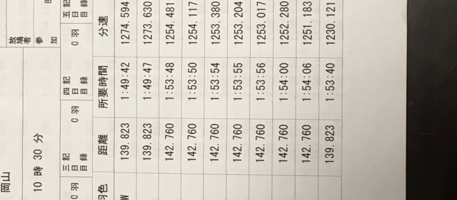150kレースは3位〜9位入賞