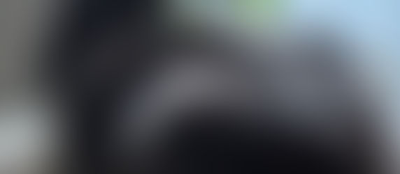 巨大化する我家の猫