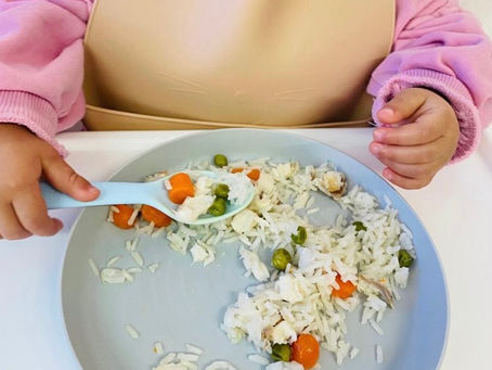 Hábitos de Alimentação «A Criança Comer Sozinha»