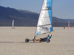 10494675_263406703861147_20781789421169804_n.jpg