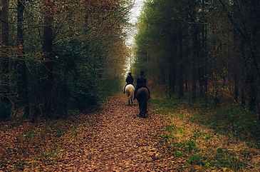 Horseback trails