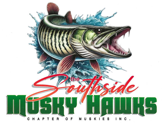 SSMH Logo Banner 5.jpg