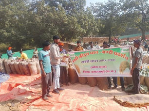 Mandi Campaign – RASI Tara (RRX 3200)