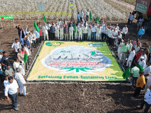 Rasi Seeds' Mechanical Picking Demo